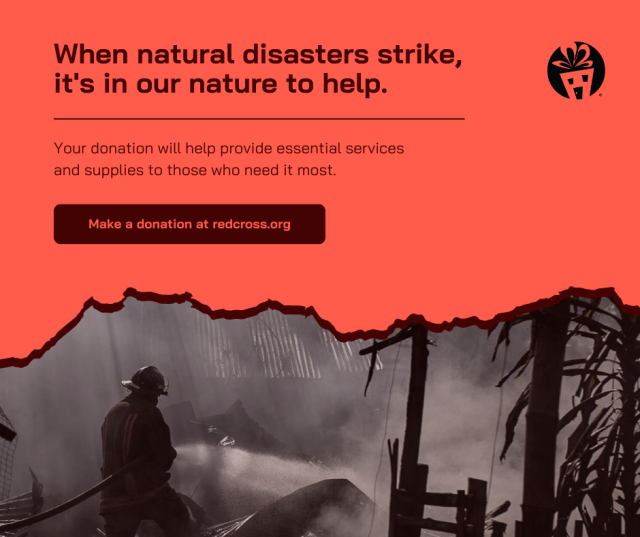 Red Cross infographic