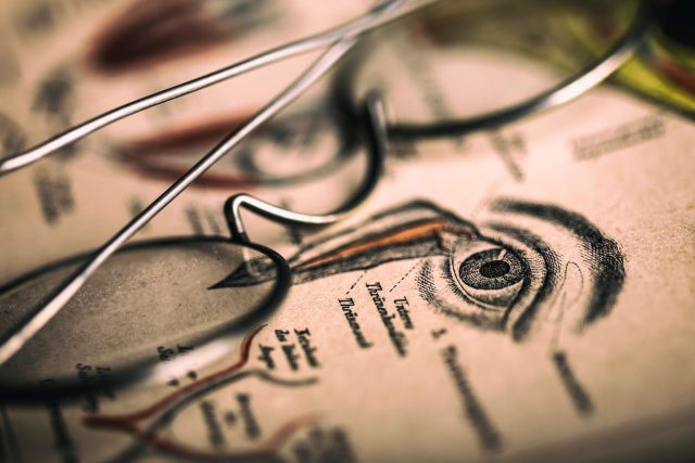 Optometry Business Spotlight