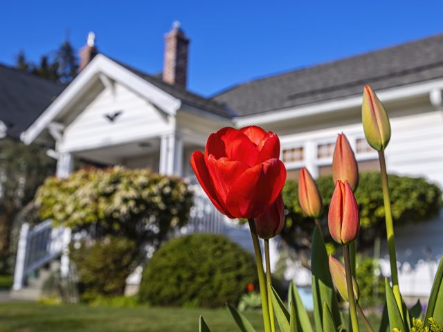 6 Ways to Help New Movers Reset This Spring